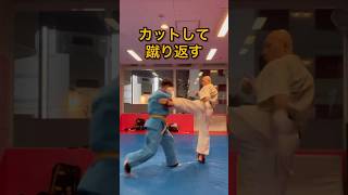 【HowTo】MiddleKickCounter〜中段回し蹴り対策〜 #大道塾 #空道 #格闘技 #空手 #ディフェンス #回し蹴り