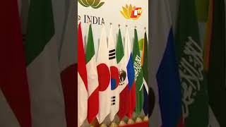 Vasudhaiva Kutumbakam - World G20 Flags Make A Spectacle At Delhi Summit