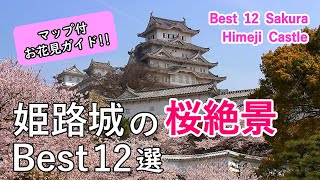 Best 12 Cherry Blossom (Sakura) in Himeji Castle, Japan