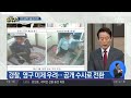 부산 신혼부부 실종사건…3년 만에 공개 수사 전환 김진의 돌직구쇼