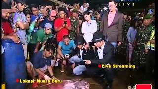 The Blusukan TransTV ~ 1 Feb 2015 ~ Eks. Putri Titian \u0026 Junior Liem