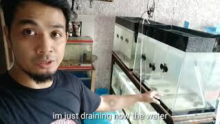 FLOWERHORN growout TANKS re set up (tagalog w/ english sub)