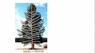 Modeling and Generating Moving Trees Using User Input
