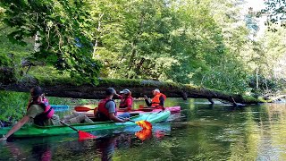 Jesienny spływ rzeką Drawą / Kayaking in autumn time on Drawa River