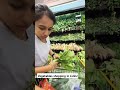 vegetables shopping in lulu @dubai couples telugucouples dubailfe hair song telugu care