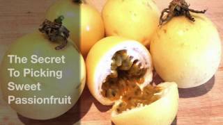 The Secret To Picking Sweet Passionfruit