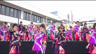 [4K]浪花乱風　堺よさこいかえる祭り2017 いずみがおか広場会場（中央）