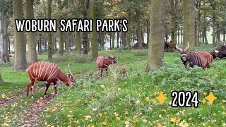 2024 at Woburn Safari Park 🦁