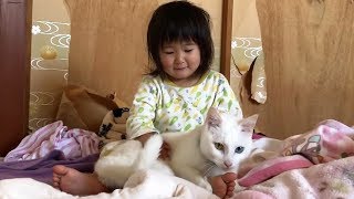 お姉ちゃんにも優しい神猫さん　【猫さんとヒメちゃんはお友達】