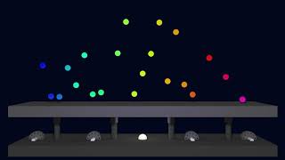 AppDynSys : Bouncing Ball : Initial Conditions