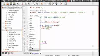 How to make a blog: Part 6-1 (Editing Posts)