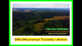 ENKLAWA promuje Trzciankę i okolice. CUDNA Szwajcaria Czarnkowska! Zamki, pałace, piękno rzeki Noteć