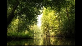 Spreewald | Lübbenau | Germany | Brandenburg, Germany.