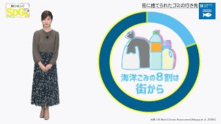 知りたい！SDGs #55 |2020年10月15日放送