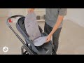 Maxi-Cosi | Lila SP | How to adjust the harness and reverse the matress