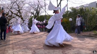 勇舞会 よさこい富士山祭り2019 in 時之栖 〜春〜