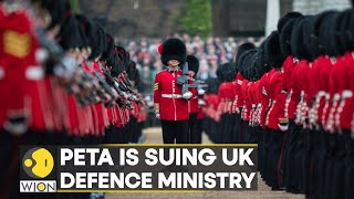 PETA is suing UK Defence Ministry over bear skin caps as MoD refuses to replace them | WION