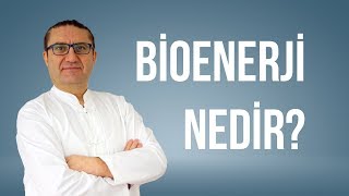 Bioenerji Nedir ?