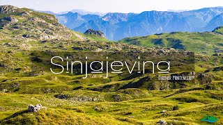 Sinjajevina - Discover Montenegro in colour ™ | CINEMATIC video