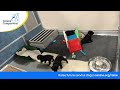 canine companions live puppy cam 2022 national puppy day