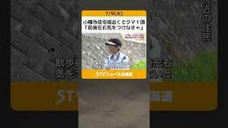 小樽市住宅街近くでクマ１頭　「前後左右気をつけなきゃ」　付近中学校は見守り下校で警戒強める #shorts