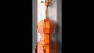 CST5100G Gold Violin Akos Balazs