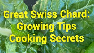 Grow and Cook Swiss Chard Better Than Ever Before!