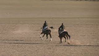 Los Mejores momentos Cuartos  de Final LXXXVII CTO DE ESPAÑA DE GALGOS EN CAMPO