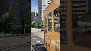 岡山市電　路面電車大集合　MOMO