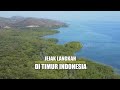 [FULL] JEJAK LANGKAH DI TIMUR INDONESIA | JEJAK PETUALANG (19/09/23)