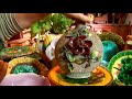 how to collect majolica pottery sand variety of majolica pottery