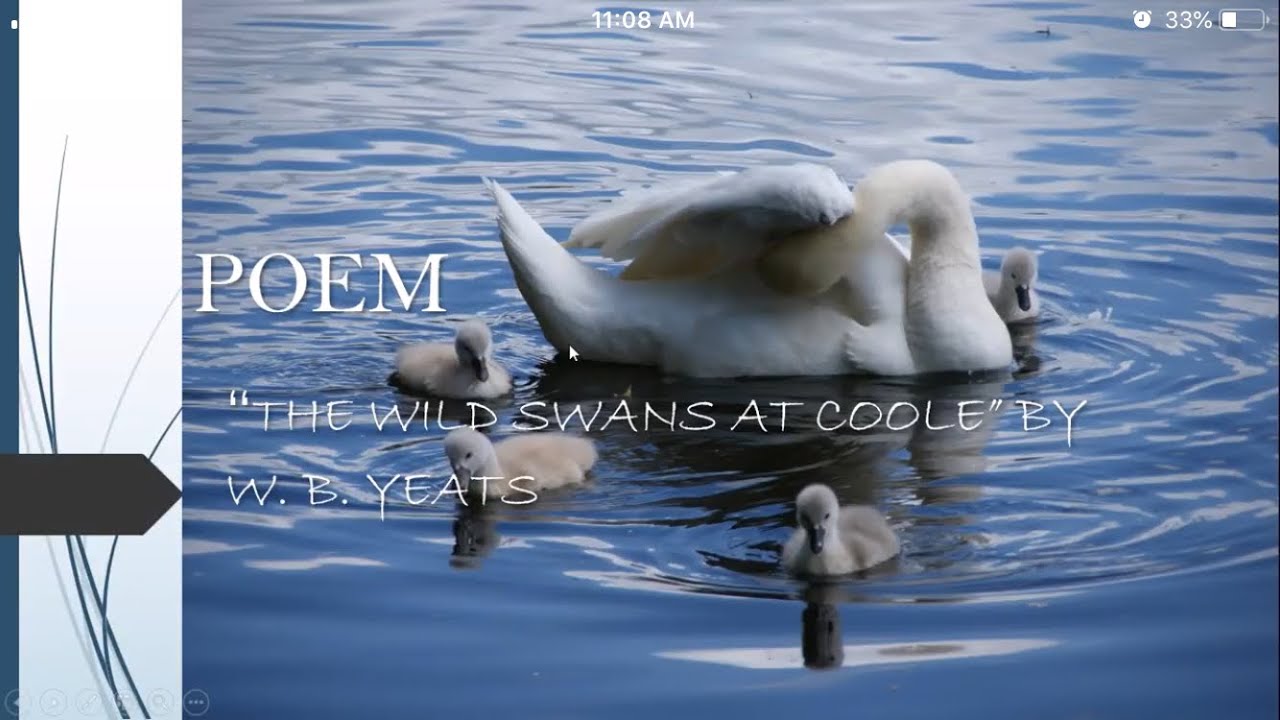 Hindi Explanation Of The Wild Swans At Coole By W B Yeats - YouTube