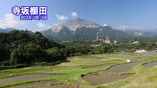 光あふれる棚田の朝　寺坂棚田　2024/06/08   A morning filled with sunlight at the terraced rice fields .