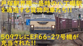 2020/09/13 [JR貨物][貨物列車] 戸塚駅界隈～昼時の八丁畷駅を通過する貨物列車たち!! 5097レにEF66-27号機が充当された!!