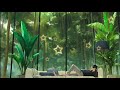 (1 hour) markvard - dreams (no copyright)