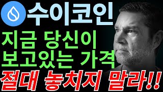 [수이 코인] 지금 보고있는 가격이, 앞으로 담을 수 없는 가격 이라는거! 알고계시나요?