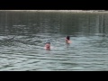 zimne plavanie winter swimming training lake zlate piesky 2 dec 2012 ladove medvede bratislava