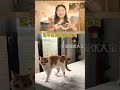 猫咪为什么要在地上擦腚？ 沙雕猫咪的迷惑行为 沙雕猫咪 萌宠出道计划 猫奴十三