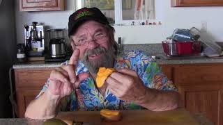 Tasting a Rain Proof Mango