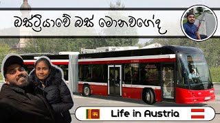 ඔස්ට්‍රියාවේ බස් මොනවගේද | Austria Public Transport Guide | How to Use Buses in Austria