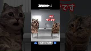 【猫ミーム】ガソリンスタンドのバイトの話 #youtube #動画 #shorts #short  #猫ミーム  #猫マニ