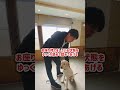 【しつけ】犬の飛びつきにはこう対処すれば大丈夫！【プロドッグトレーナー】