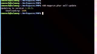 n98-magerun self-update command