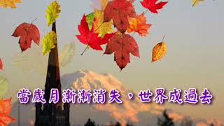 我深信在那各各他山頂 I Believe in a Hill Called Mount Calvary 古今聖詩(127) Instrumental Christian Music