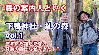 【下鴨神社Vol.1】森の案内人といく奇跡の原生林、紅葉に包まれる糺の森へ