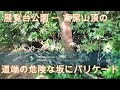 神奈川県・厚木市・愛川町・鳶尾山・鳶尾山の馬の背のような場所にバリケードを置きました