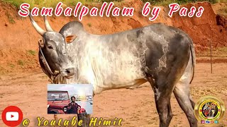 Sambalpallam By Pass Full Running  Manjuvirattu Videos 🥳🥳🥳🥳