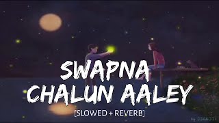 Swapna Chalun Aaley - [Slowed+Reverb] - |Classmates| Sonu Nigam, Sayali Pankaj | Music Vibes |