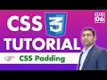 CSS Padding and Margin in Hindi | CSS3 Tutorial | Class 6