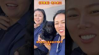 高手在民间《萍果香》翻唱 老大与老三【18】